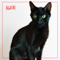 Agathe